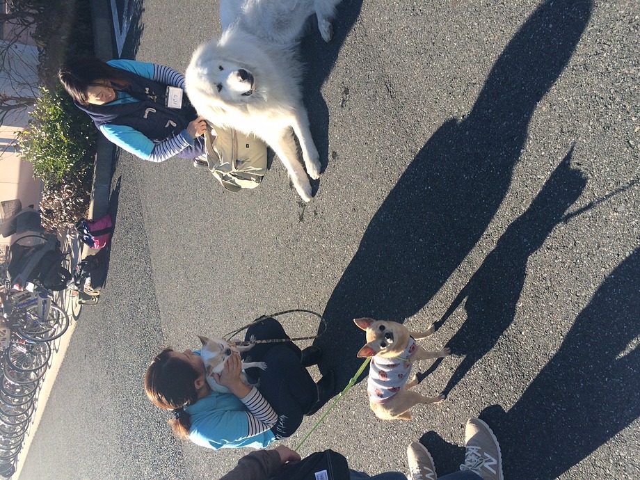 活動前、トイレを済ませて人・犬ともにご挨拶。ここで落ち着かせます